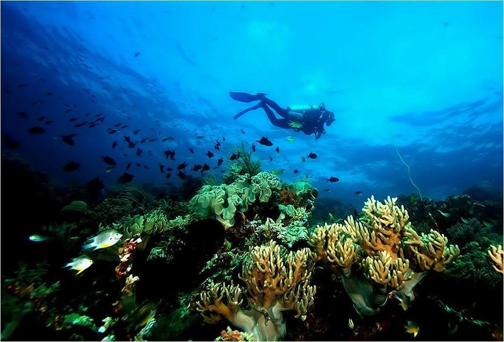 Wakatobi Patuno Diving And Beach Resort By Sahid Wanci Buitenkant foto