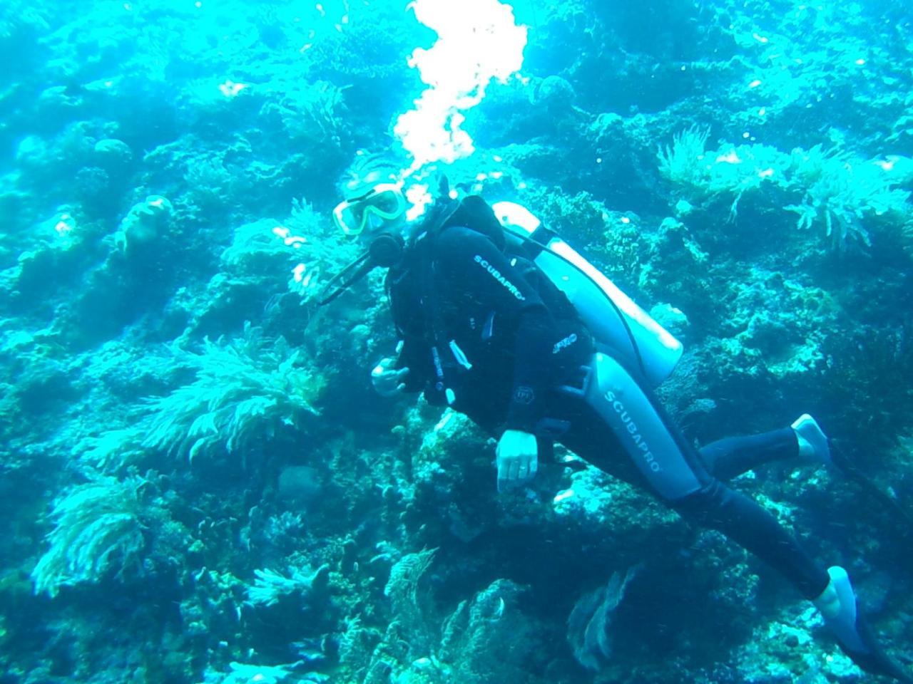 Wakatobi Patuno Diving And Beach Resort By Sahid Wanci Buitenkant foto